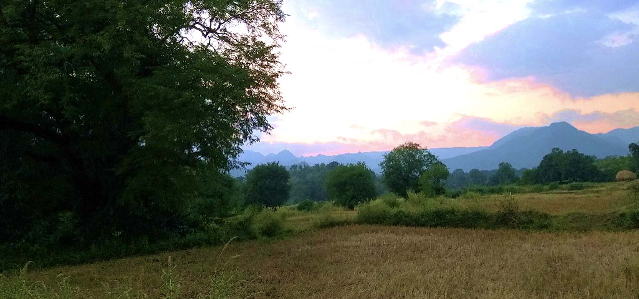 Agriculture Initiative